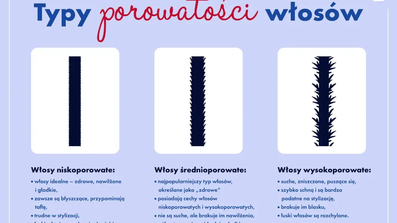 Ilustracja przedstawia trzy typy włosów: niskoporowate (gładkie), średnioporowate (półmatowe) i wysokoporowate (puszące się).