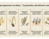 Olej arganowy do włosów: głębokie nawilżenie, mniej puszenia, regeneracja, wsparcie skóry głowy i ochrona przed słońcem, mrozem i stylizacją na ciepło.