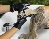 Fryzjerka w czarnych rękawiczkach nakłada odżywkę na blond włosy. Zastanawiasz się, jaki kolor na siwe włosy będzie najlepszy?